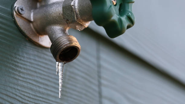 Best Residential Plumbing Services  in St Augustine Shores, FL